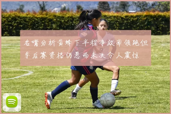 名嘴分析黄蜂下半程净效率领跑但季后赛资格仍悬而未决令人震惊